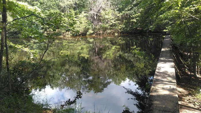 Hanging Rock State Park Campground Picture 7