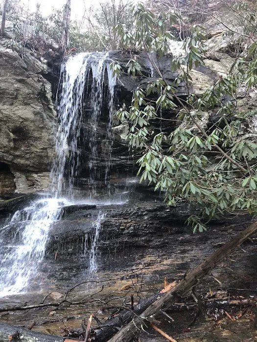 Hanging Rock State Park Campground Picture 4