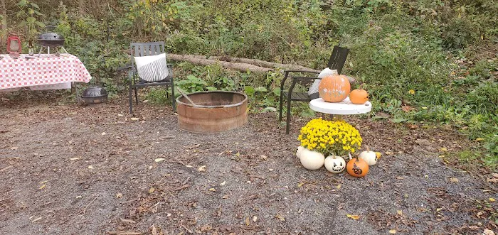 Blank Slate Virginia Picture 7