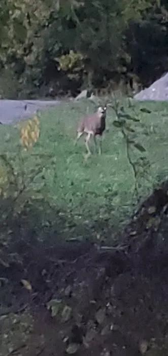 Blank Slate Virginia Picture 3