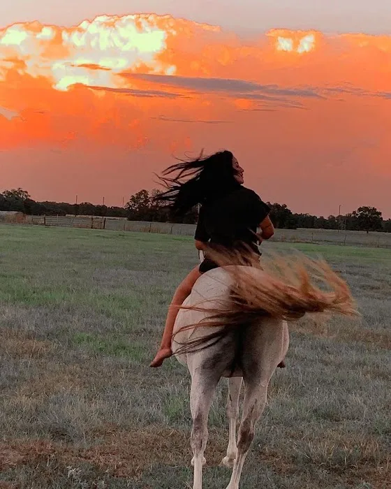 White Cedar Horse Camp Picture 3