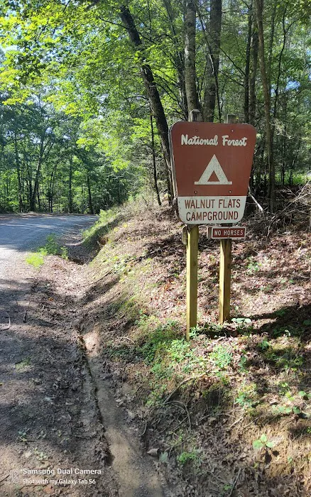 Walnut Flats Campground Picture 1