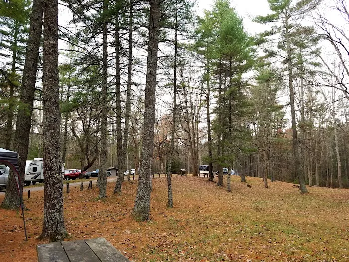 Walnut Flats Campground Picture 9