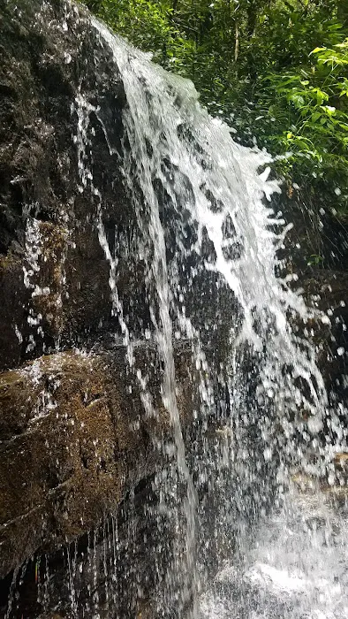 Walnut Flats Campground Picture 4