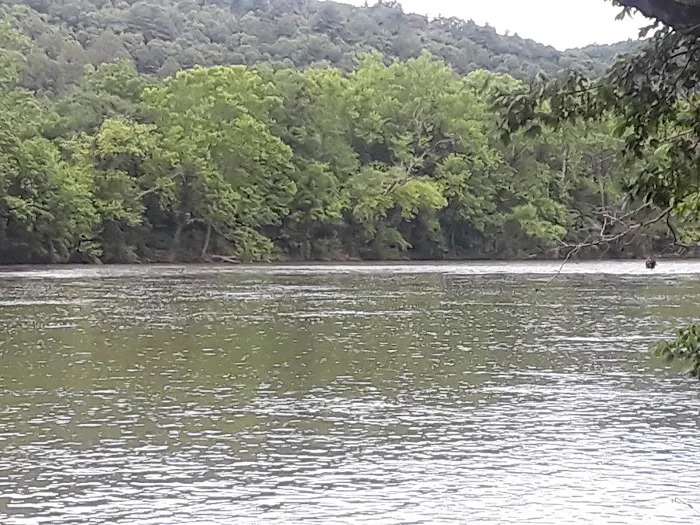 Shanklin's Ferry Picture 6