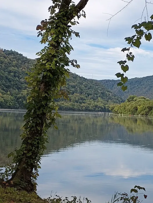 Shanklin's Ferry Picture 7
