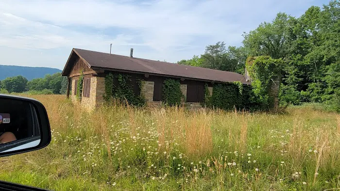 Shanklin's Ferry Picture 3