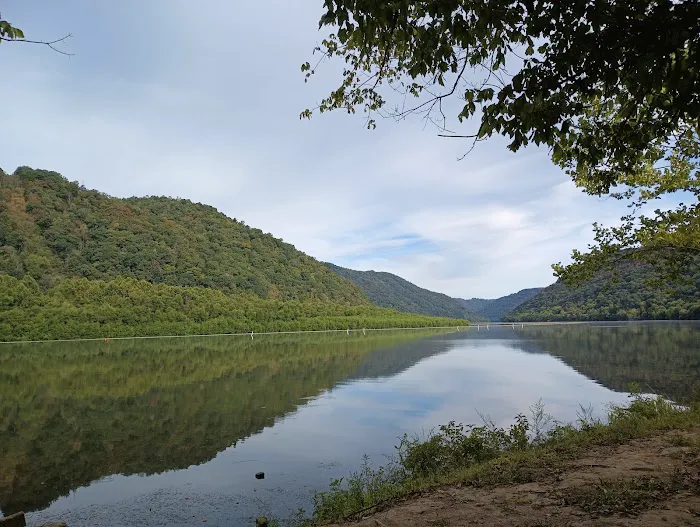 Shanklin's Ferry Picture 5