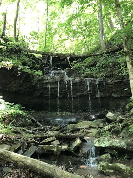 Shanklin's Ferry Picture 8