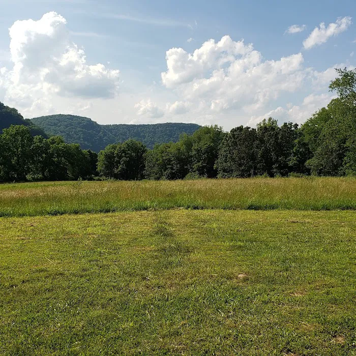 Shanklin's Ferry Picture 9