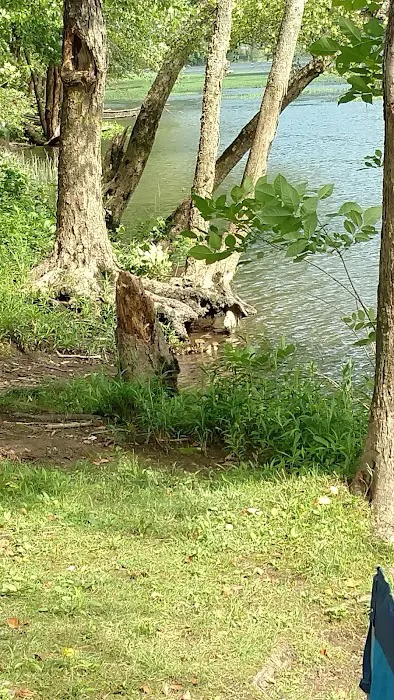 Berry's Campground Picture 5