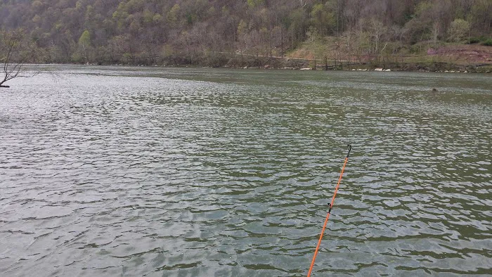 Bass Lake Park Picture 3