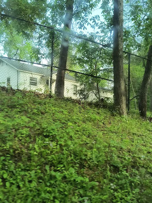 Camp Brookside Picture 7