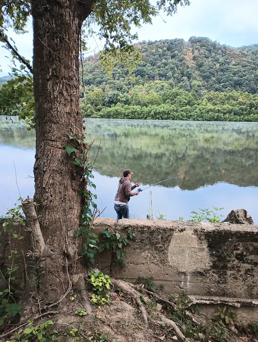 Bertha Camping Area Picture 5