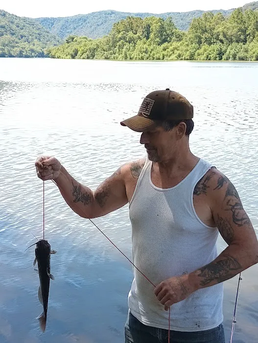 Bertha Camping Area Picture 3