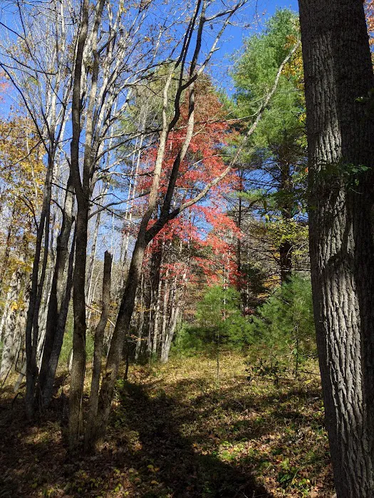 Pipestem Campground Picture 8