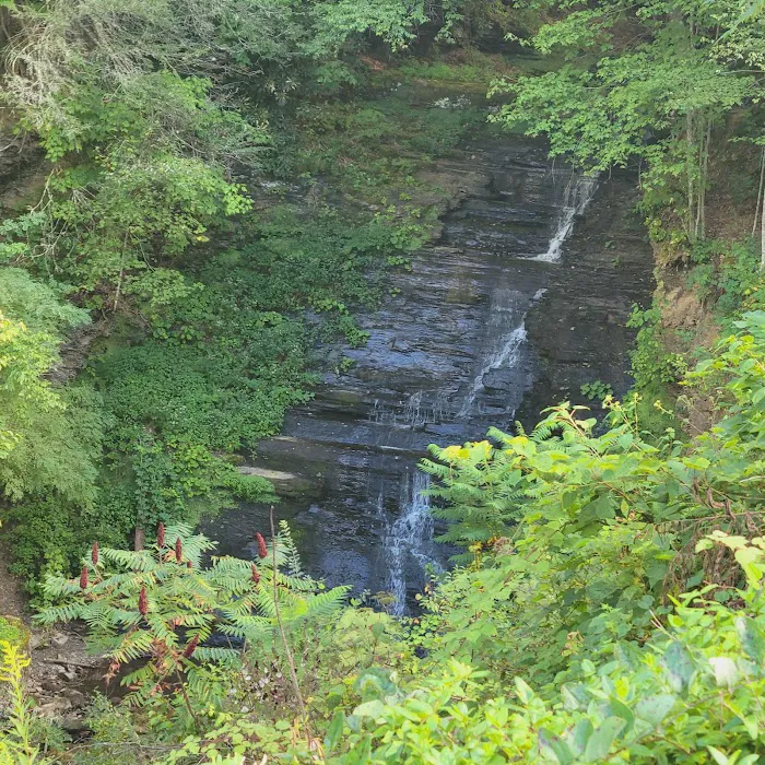 Pipestem Campground Picture 10