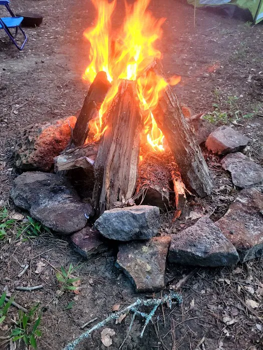 Trent River Campground Picture 8