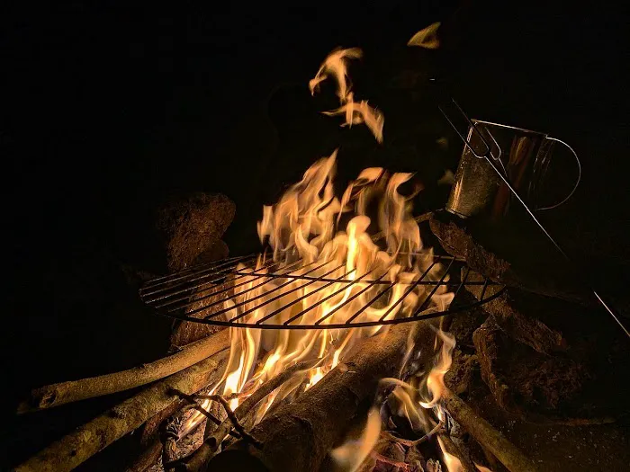 Trent River Campground Picture 6