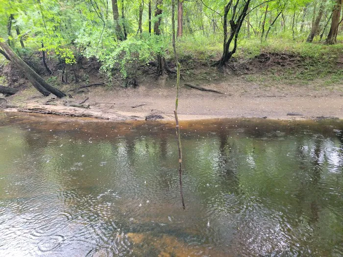 Trent River Campground Picture 1