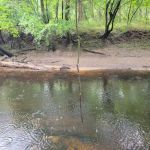 Trent River Campground