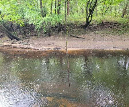 Trent River Campground