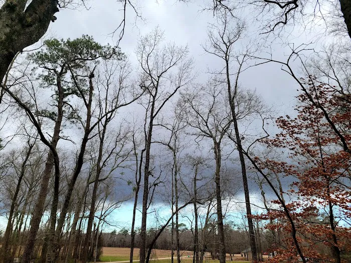 Trent River Campground Picture 5