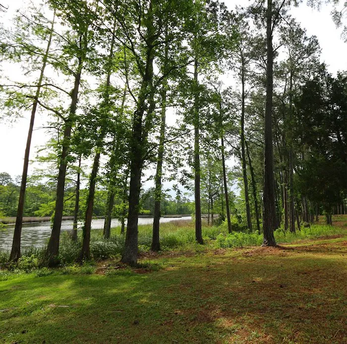 Long Creek RV Park Picture 9