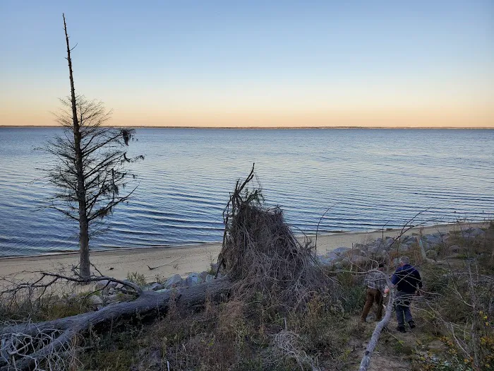 Neuse River Recreation Area Picture 4