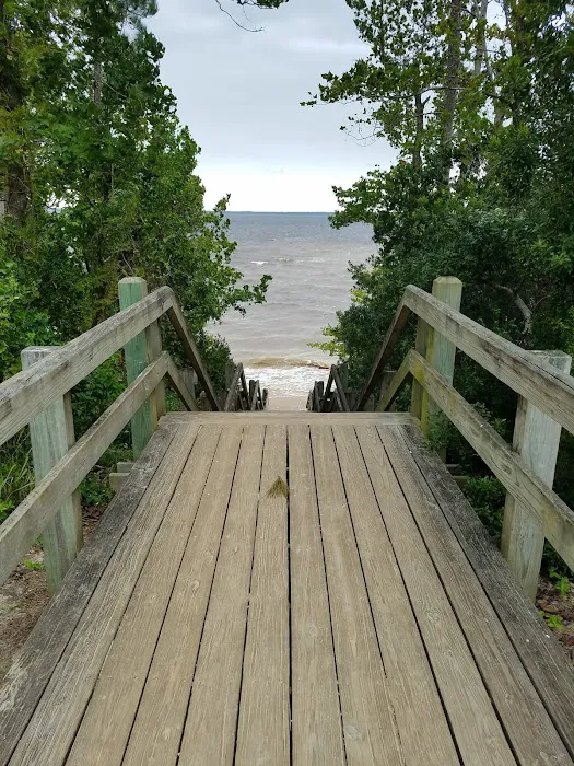 Neuse River Recreation Area Picture 8