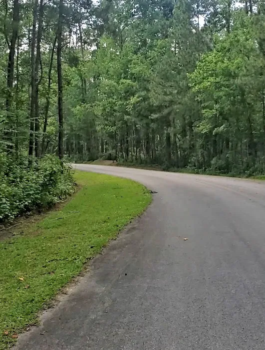 Neuse River Recreation Area Picture 10