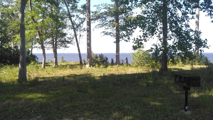 Neuse River Recreation Area Picture 3