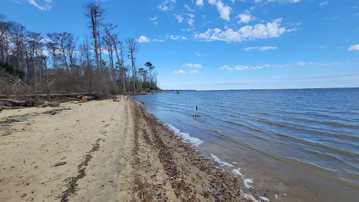 Neuse River Recreation Area Picture 6