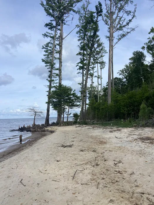 Flanners Beach Campground Picture 4