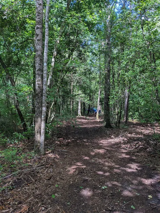 Dragonfly Trail Picture 3
