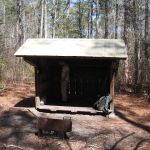 Dogwood Shelter