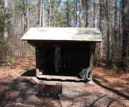 Dogwood Shelter