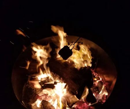 Dogwood Family Campground