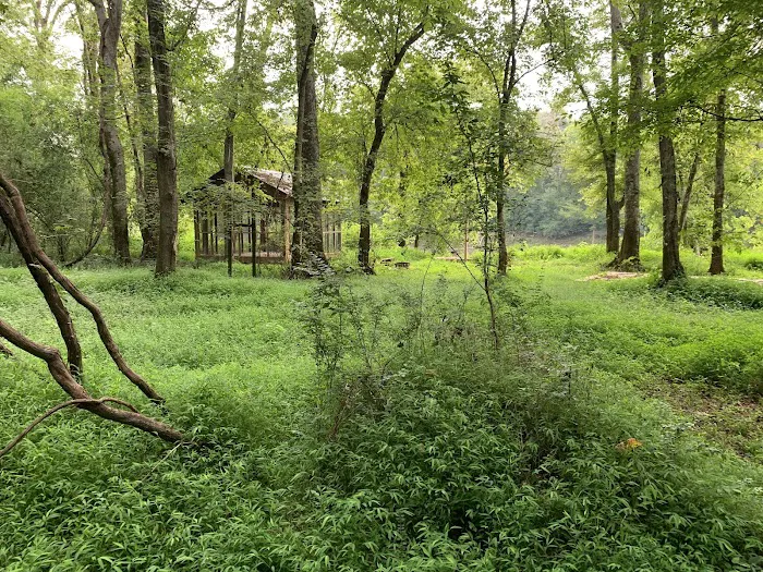 Tusca Landing Picture 1