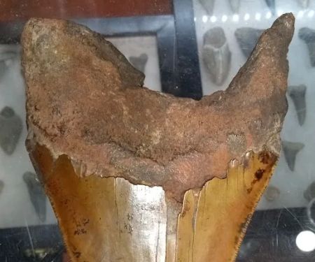 NC Treasure Hunters Campground