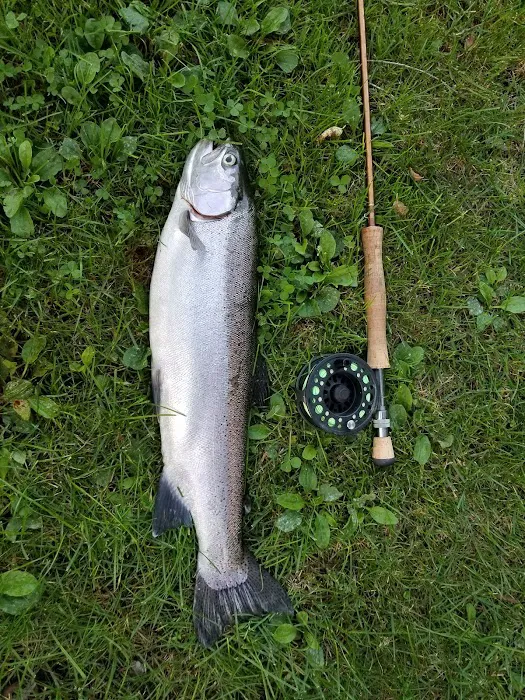 Cold Creek Trout Camp Picture 3