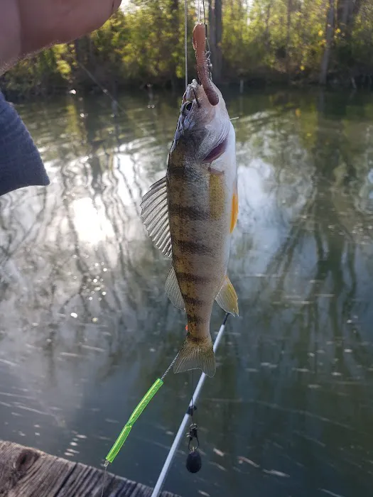 Cold Creek Trout Camp Picture 7