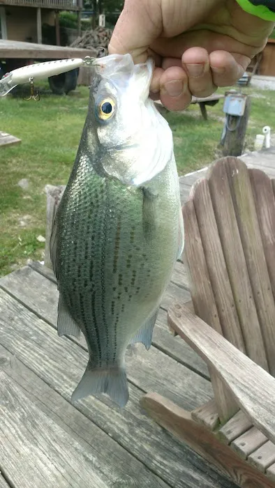 Cold Creek Trout Camp Picture 4