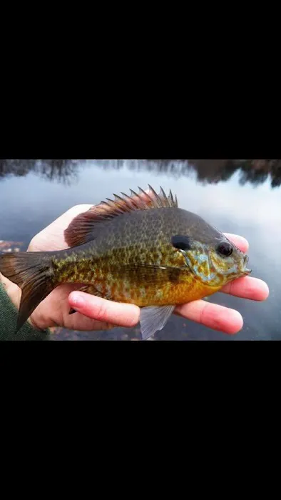 Hidden Hideaway Campground & Marina Picture 1