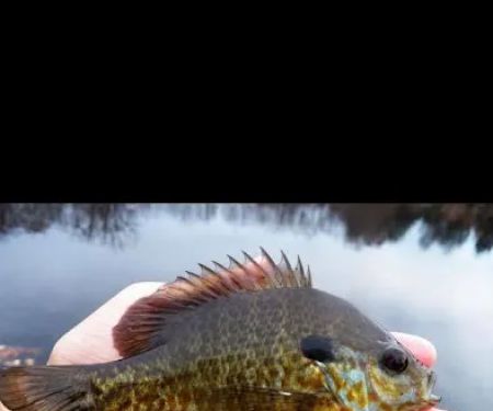 Hidden Hideaway Campground & Marina