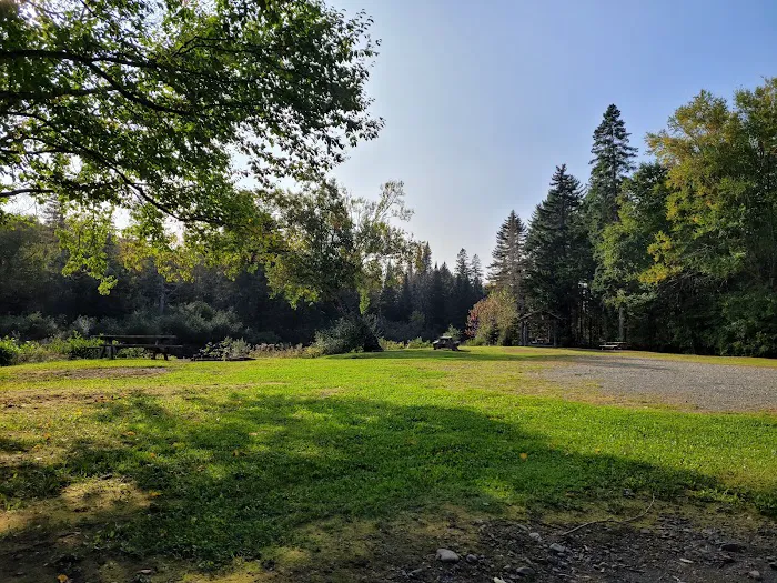 North Branch Machias Campsite Picture 1