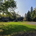 North Branch Machias Campsite