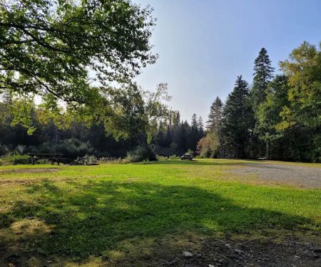 North Branch Machias Campsite
