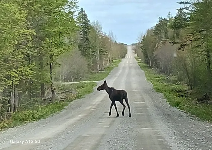 ROUTE 11 RV SITES Picture 4