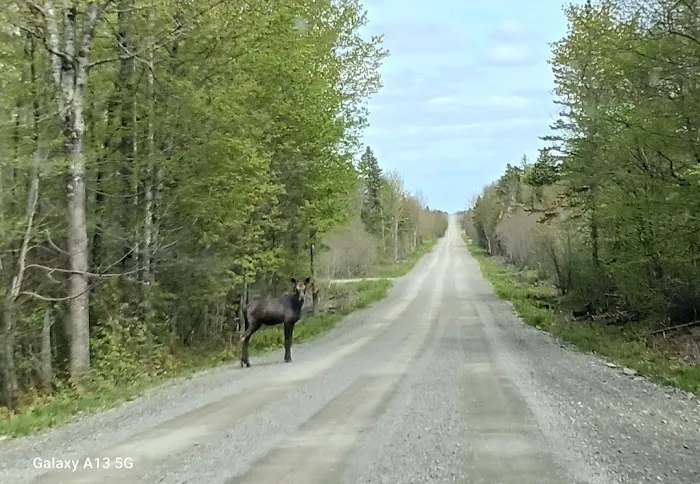 ROUTE 11 RV SITES Picture 1